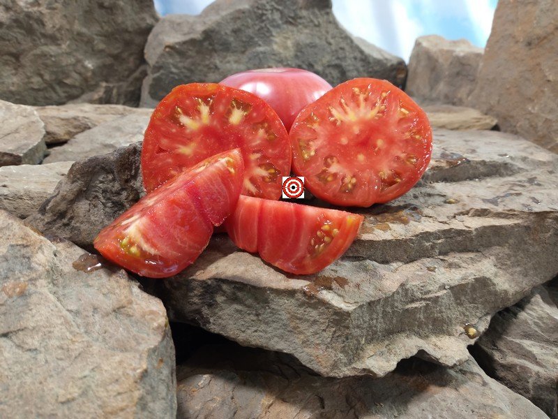 Boondocks Tomato