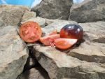 Brads Miscellaneous Tomato Blue Tomatoes