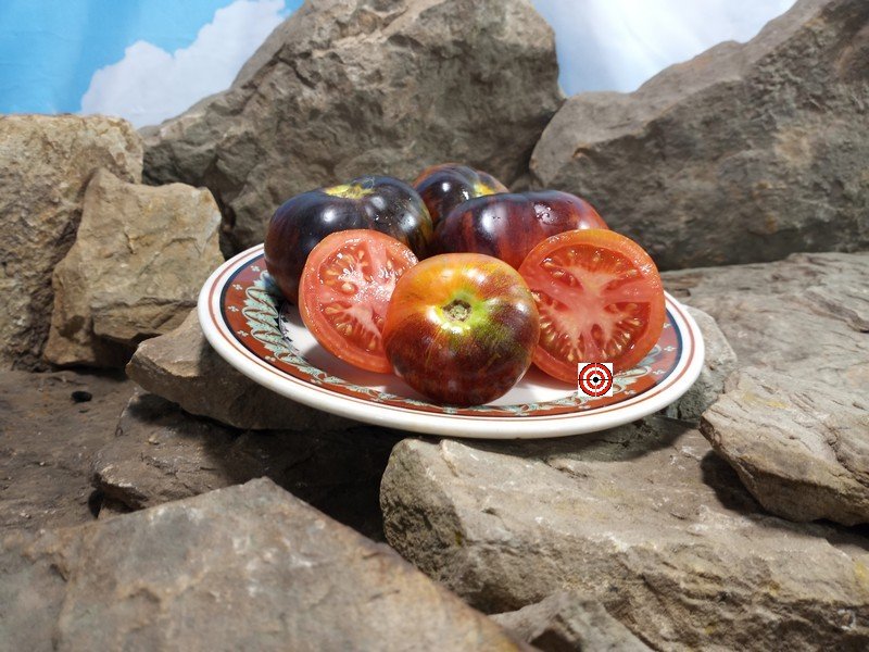 Brads Miscellaneous Tomato
