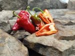 Cajun Belle Pepper Stuffing Peppers