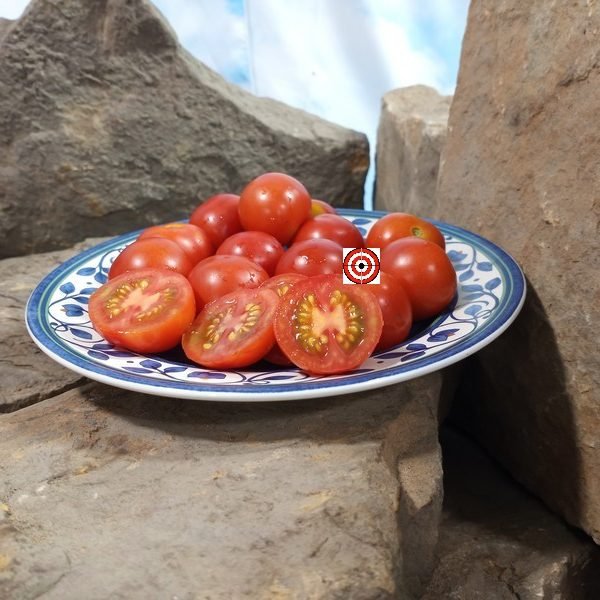 Camp Joy Red Heirloom Tomato