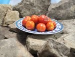 Camp Joy Red Heirloom Tomato Cherry Tomatoes