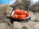 Camp Joy Red Heirloom Tomato Productive Tomatoes