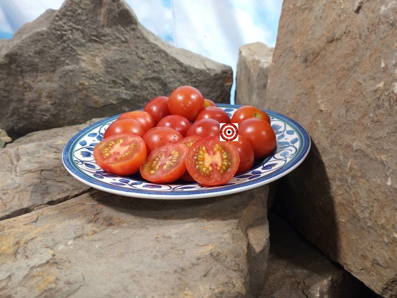 Camp Joy Red Heirloom Tomato