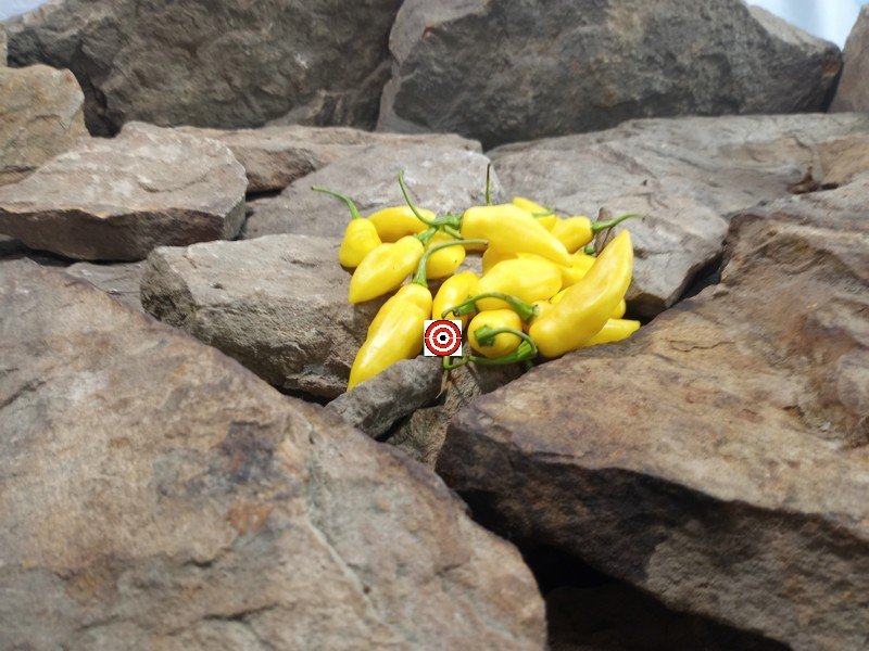 Carmine Pepper Cooking Peppers Carmine Pepper Cooking Peppers