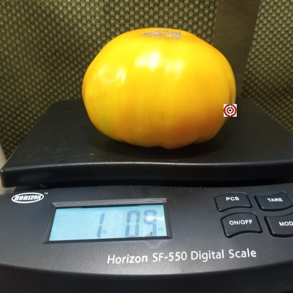 Cero Blackburn Tomato