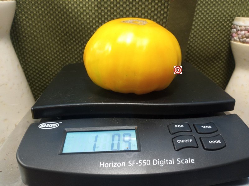 Cero Blackburn Tomato