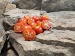 Chadwick Cherry Tomato Red Tomatoes