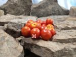 Chadwick Cherry Tomato Seeds