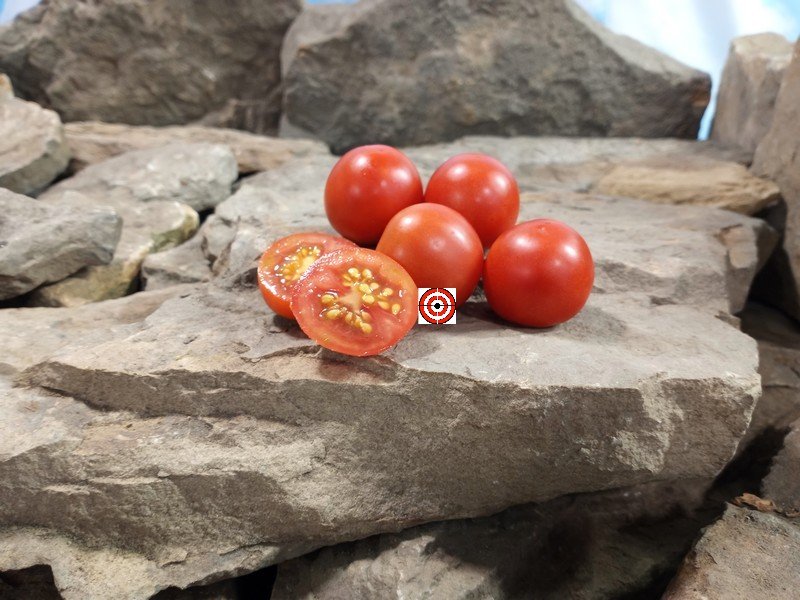 Chadwick Cherry Tomato Heirloom Tomatoes Chadwick Cherry Tomato Heirloom Tomatoes