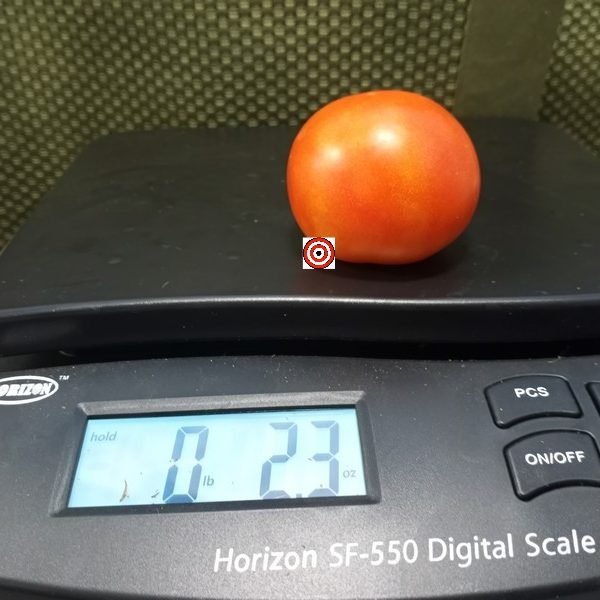 Chemin Rouge Hative Tomato
