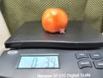 Chemin Rouge Hative Tomato Saladette Tomatoes