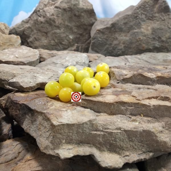 Cheris Cherry Tomato