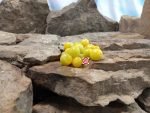 Cheris Cherry Tomato Seeds