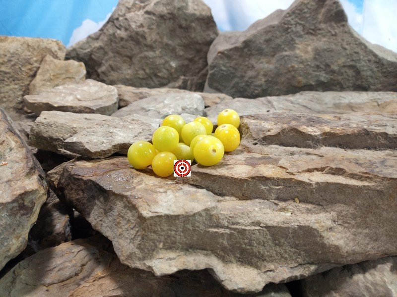 Cheris Cherry Tomato
