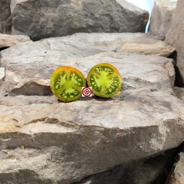Copper Olive Tomato