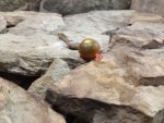 Copper Olive Tomato Seeds