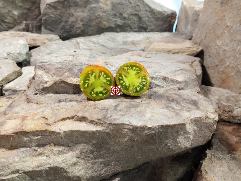 Copper Olive Tomato