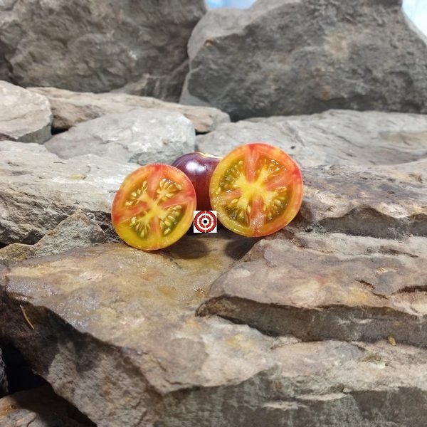 Cosmic Burst Tomato