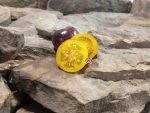 Cosmic Burst Tomato Bicolored Tomatoes
