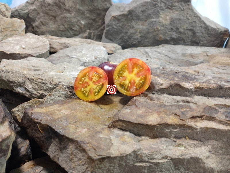 Cosmic Burst Tomato