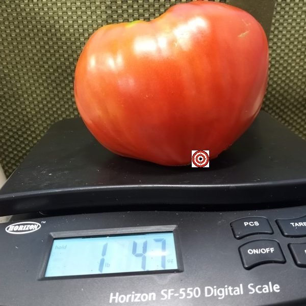 Cuore Del Drago Tomato