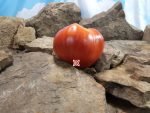 Cuore Del Drago Tomato Giant Tomatoes