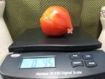 Cuore Del Drago Tomato Oxheart Tomatoes