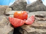 Cuore Del Drago Tomato Seeds