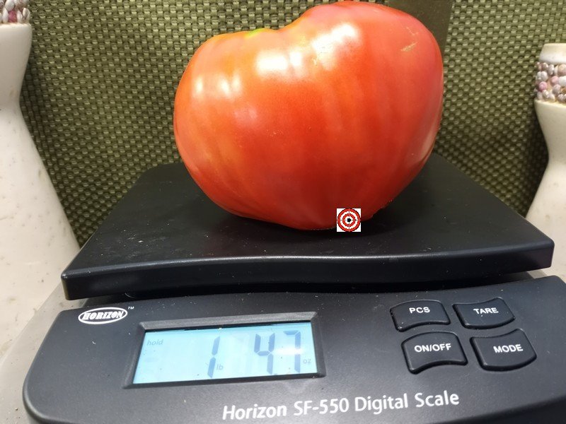 Cuore Del Drago Tomato