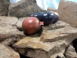 Dirty Curty Tomato