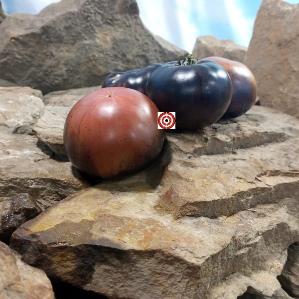 Dirty Curty Tomato