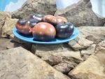 Dirty Curty Tomato Antho Tomatoes