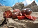 Dirty Curty Tomato Seeds