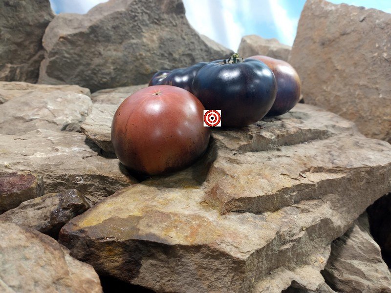 Dirty Curty Tomato