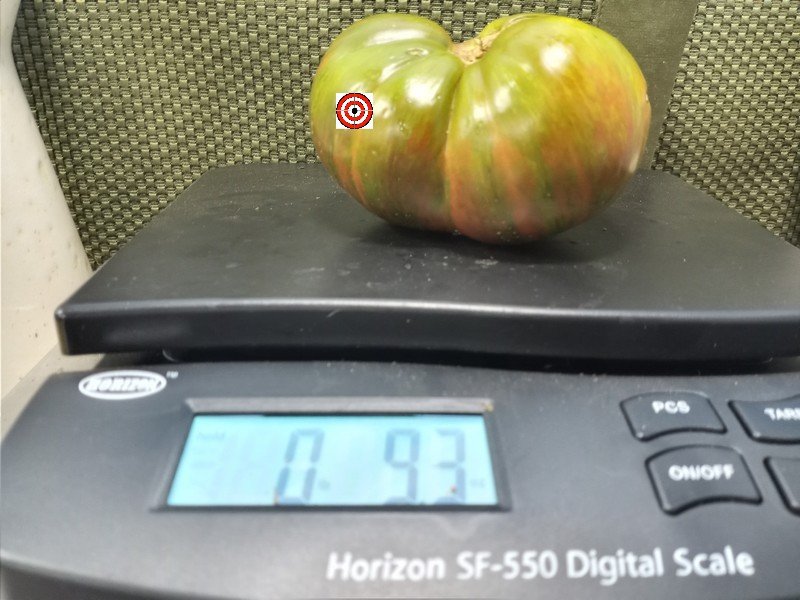 Dusky Maiden Tomato Black Tomatoes Dusky Maiden Tomato Black Tomatoes