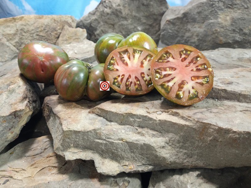 Dusky Maiden Tomato