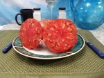 Dutch Pleasure RL Tomato Sandwich Tomatoes