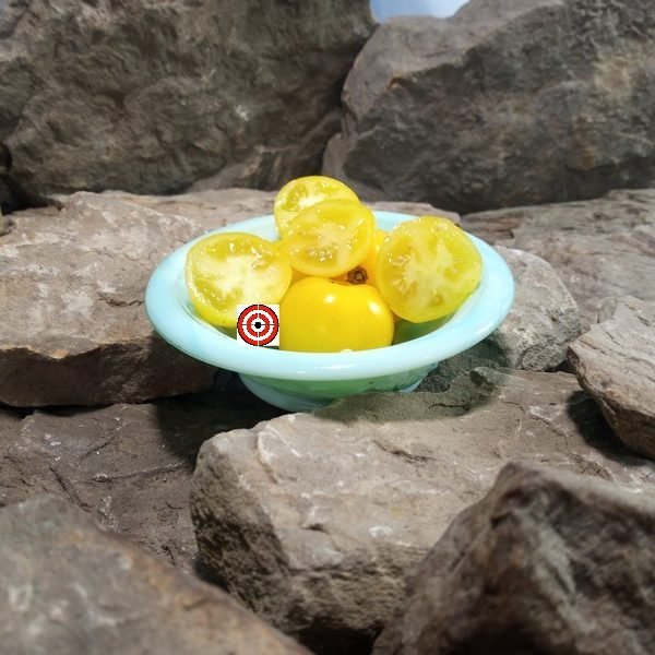 Dwarf Canary Kiss Tomato