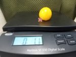Dwarf Canary Kiss Tomato Snacking Tomatoes