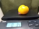 Dwarf Gold Locket Tomato