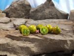 Dwarf Kermit De Frog Tomato