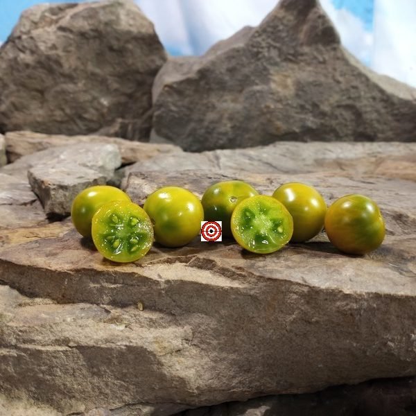 Dwarf Kermit De Frog Tomato