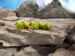 Dwarf Kermit De Frog Tomato Cherry Tomatoes