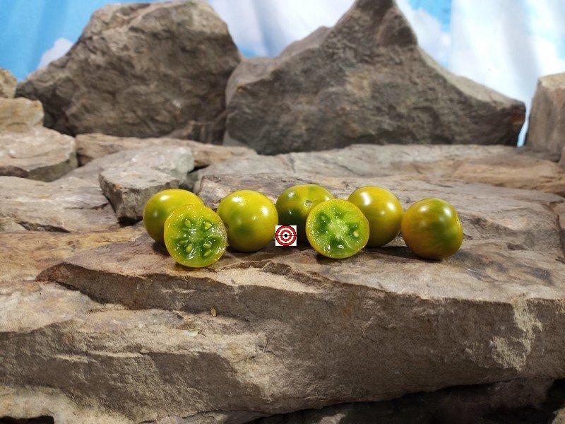 Dwarf Kermit De Frog Tomato