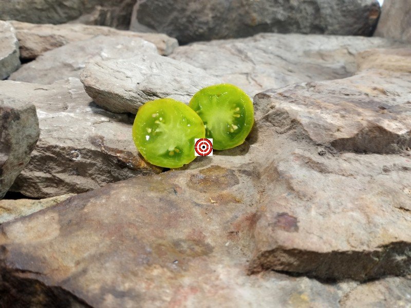 Dwarf Limelight Tomato
