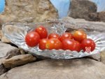 Dwarf One Eyed Willie Tomato Container Tomatoes