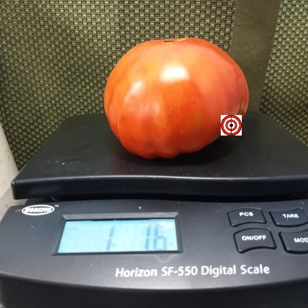 Eagle Creek Pew Filler Tomato