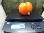 Eagle Creek Pew Filler Tomato Beefsteak Tomatoes