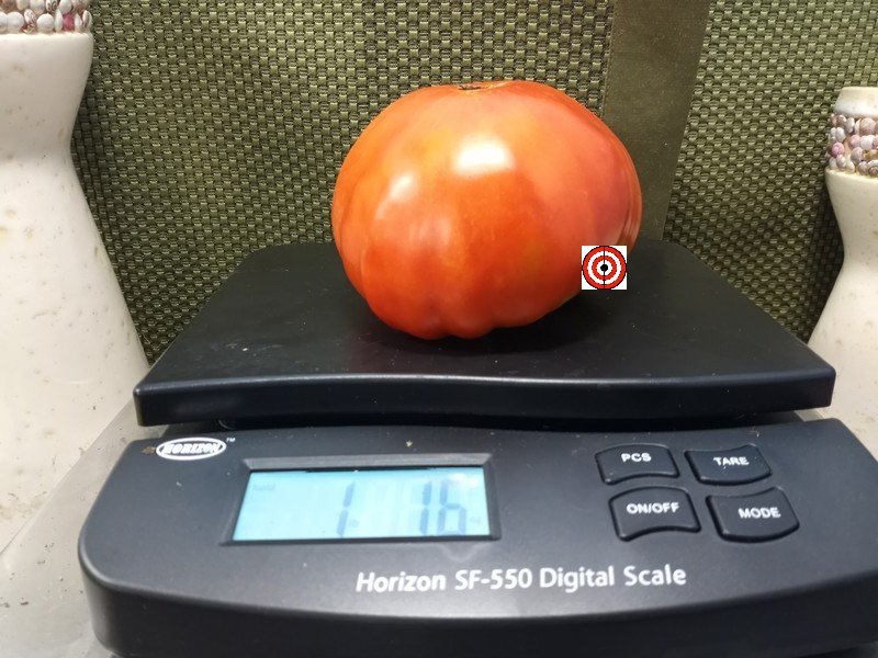 Eagle Creek Pew Filler Tomato